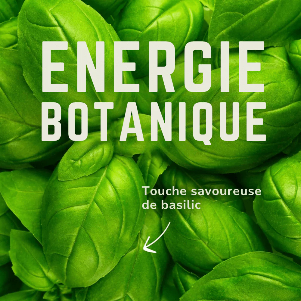 Electrolytes Attivo  | Veloforte - Image 7