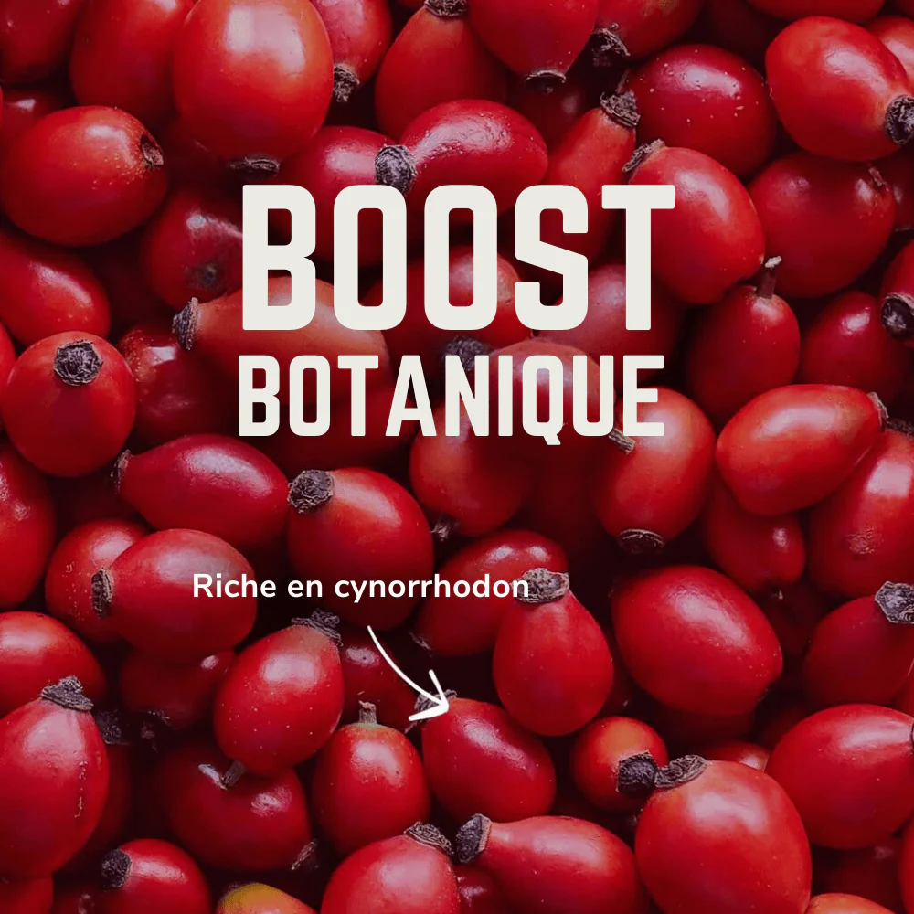 Electrolytes Vivo | Veloforte - Image 6