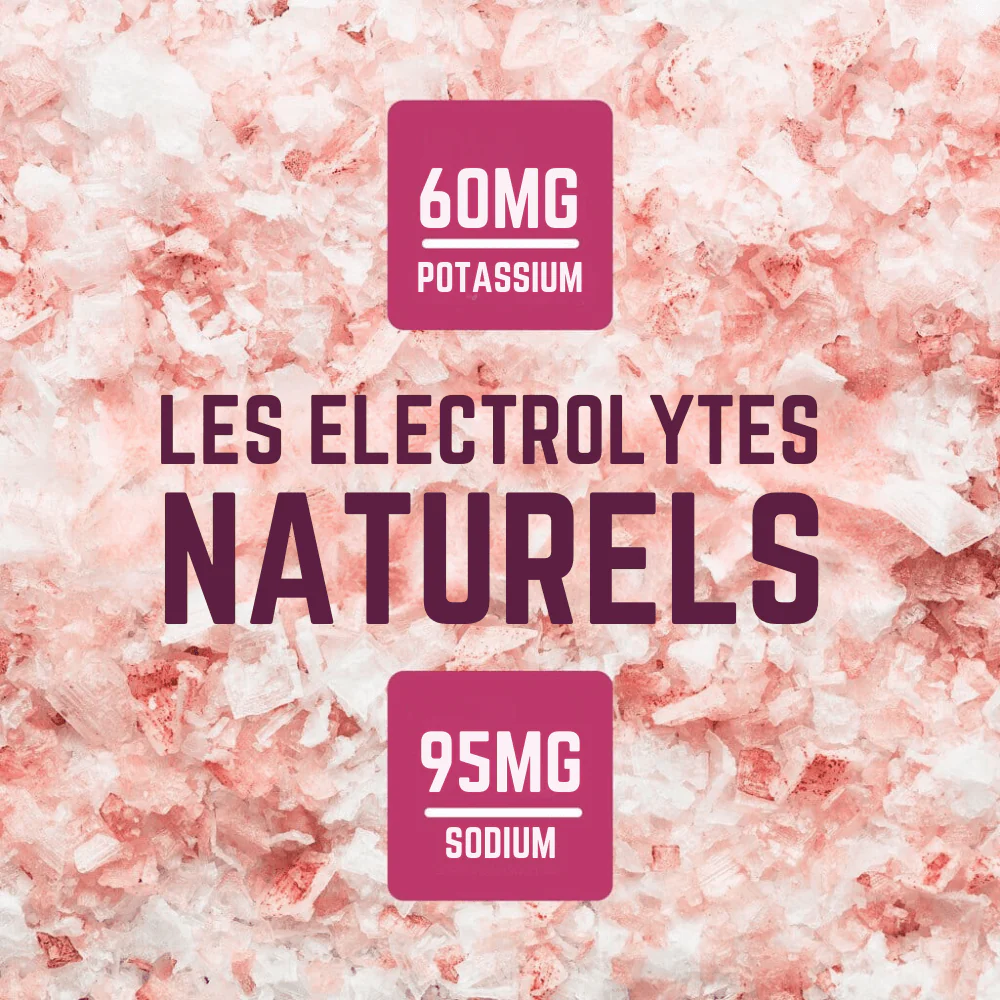 Gommes Amaro Cerises Griottes | Veloforte - Image 8
