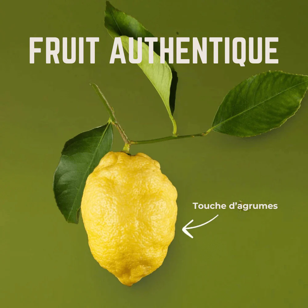 Gommes Fresco Citron  | Veloforte - Image 5