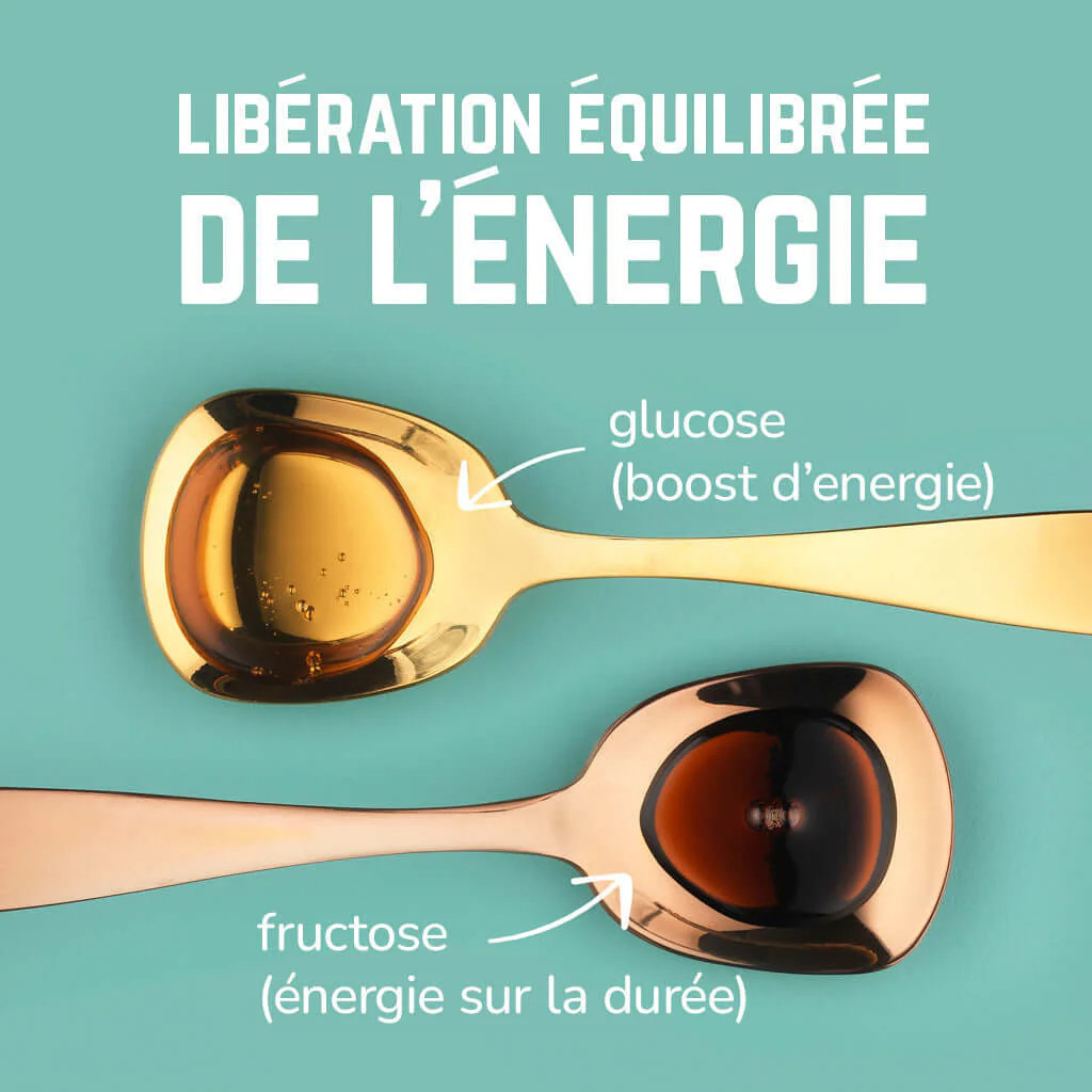 Pack Complet | Veloforte - Image 7