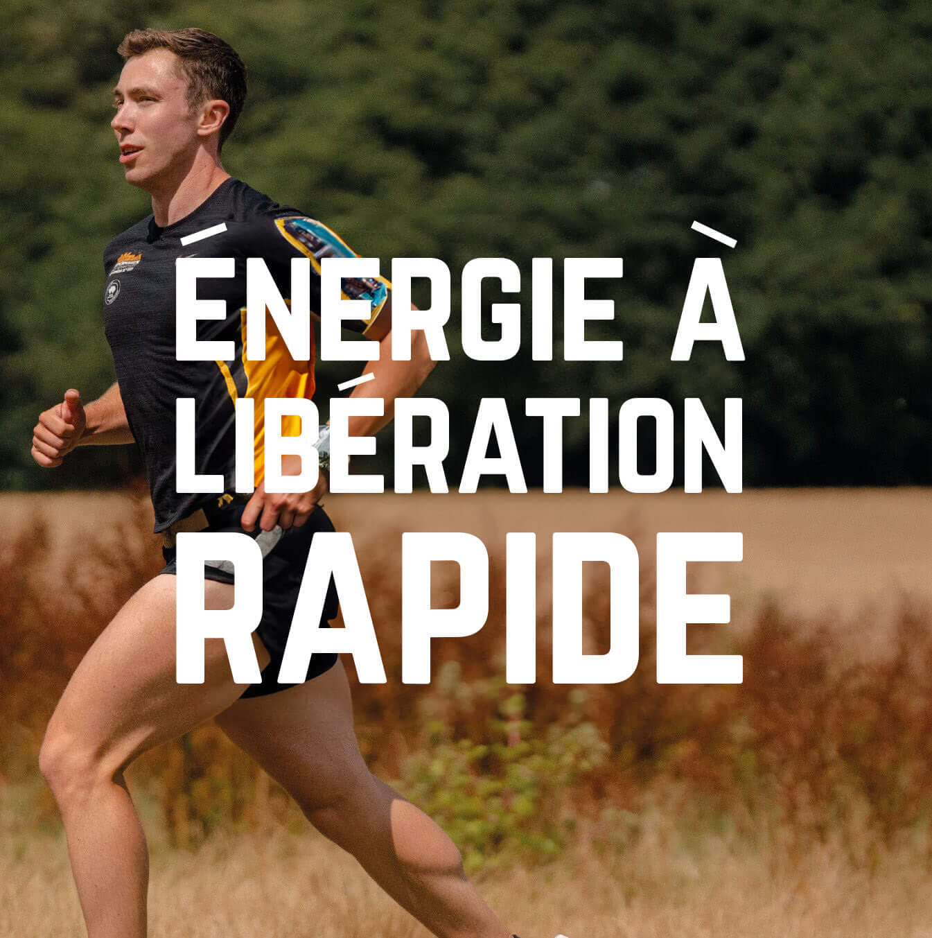 Pack Complet | Veloforte - Image 8