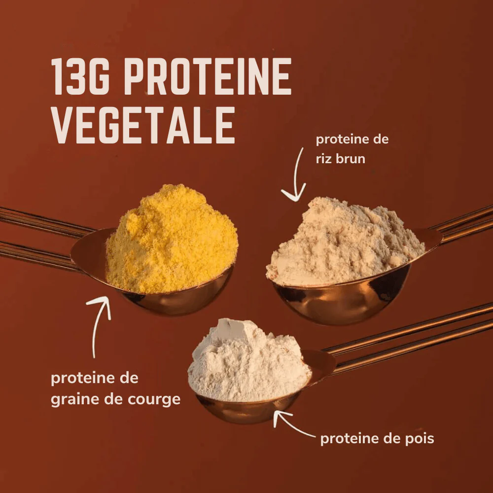Proteines Nova  | Veloforte - Image 7